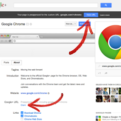  Google's continuing its roll-out of custom URLs to its most popular social network pages. You'll have to make sure that you stake a claim to your pre-approved URL when the box appears on your page -- fortunately it's pretty hard to miss, sticking out along the top of your well-known profile / page. Lesser known brands and 'personalities' will have to wait a little longer