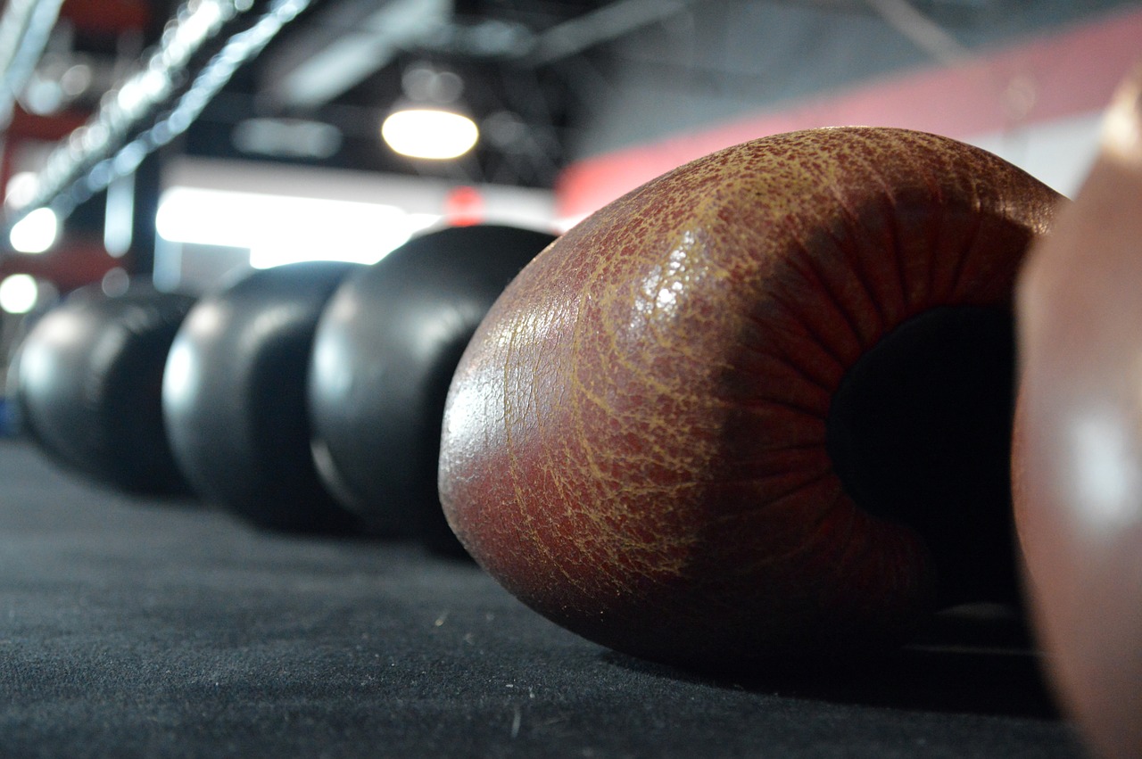 boxing-gloves-375473_1280